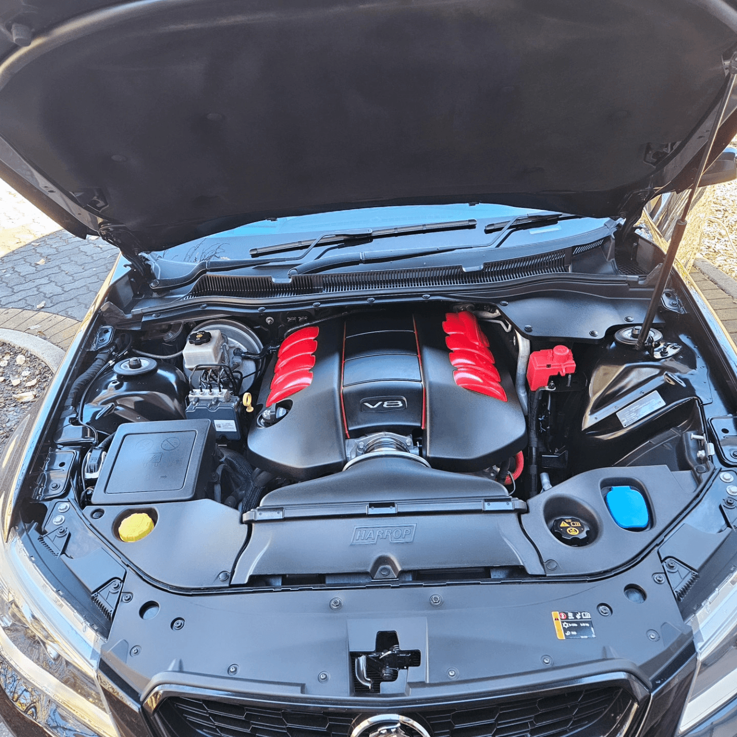 Cleaned V8 engine bay after a PrimeCare service