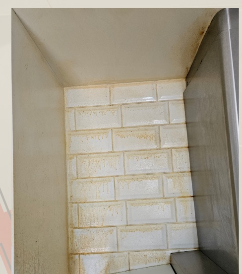 Shower niche before cleaning